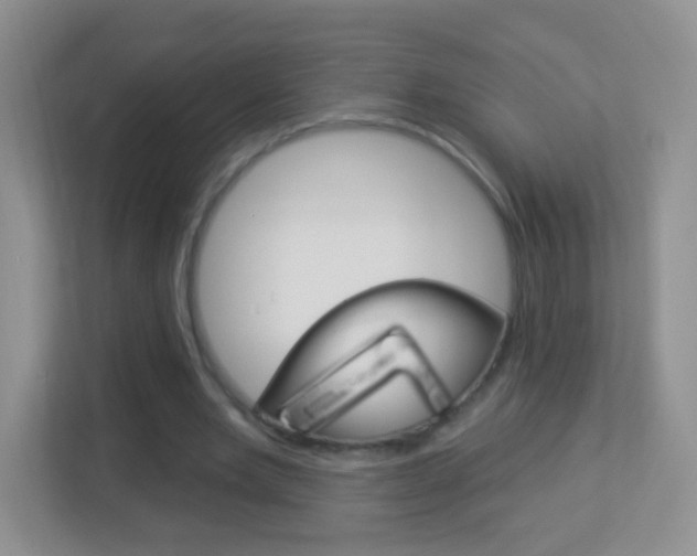 X0000113880485200909241029