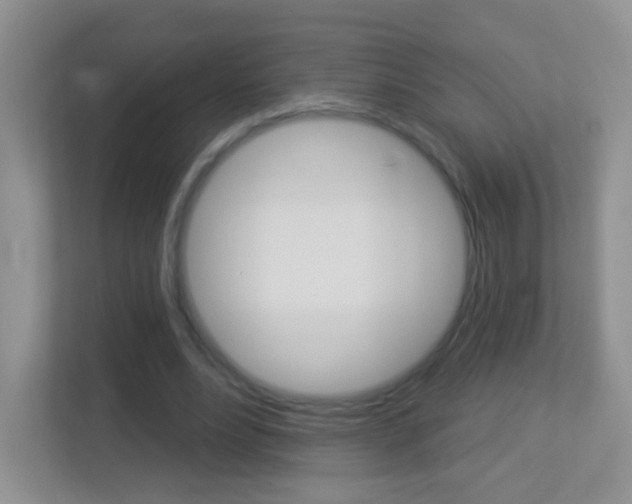 X0000113880488200909241029