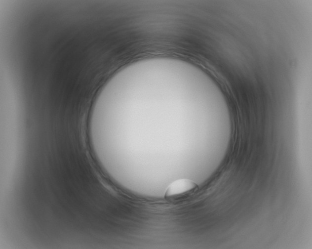 X0000113880489200909241029
