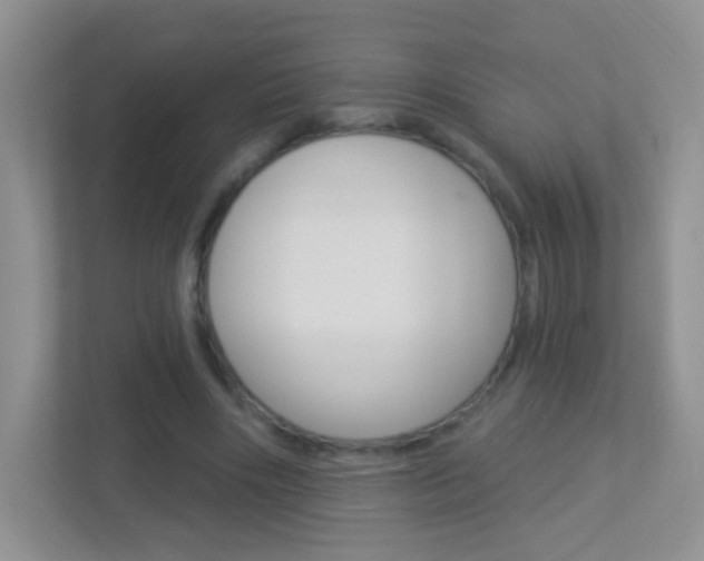 X0000113880490200909241029