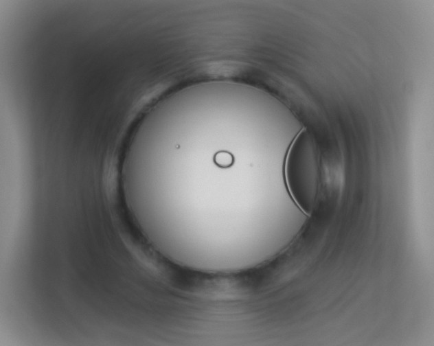 X0000113880492200909241029