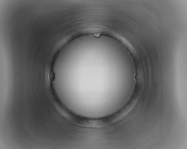 X0000113880493200909241029