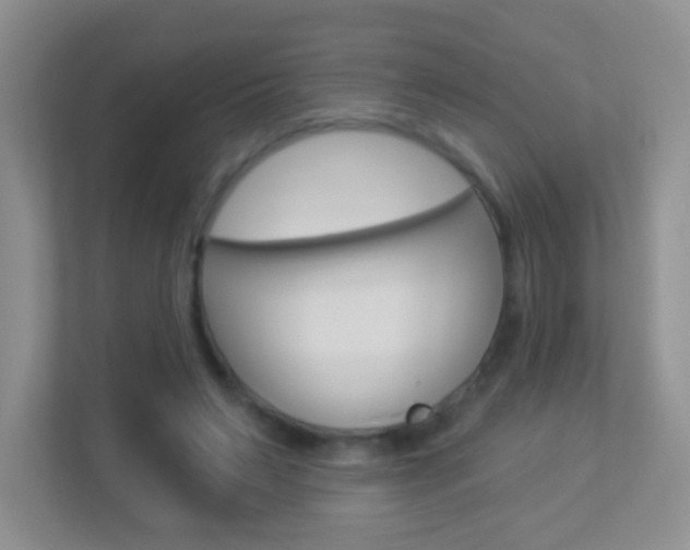 X0000113880495200909241029