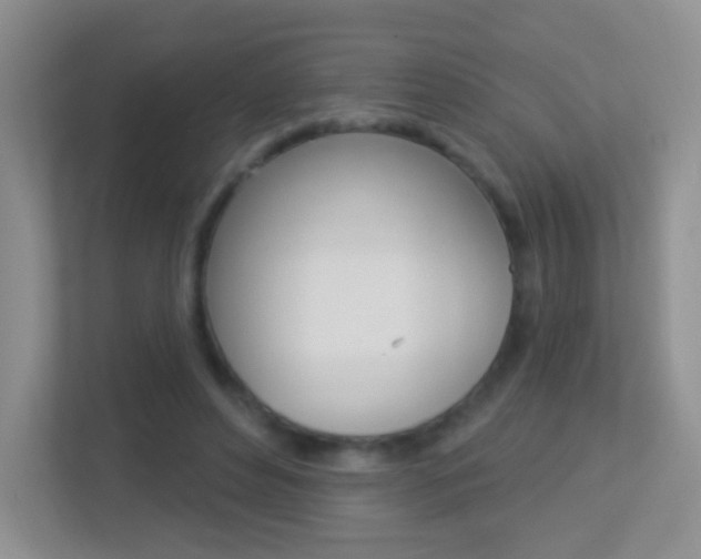 X0000113880496200909241029