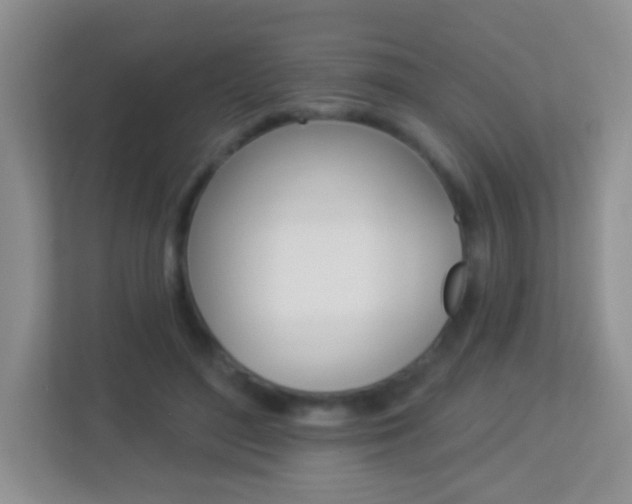 X0000113880500200909241029
