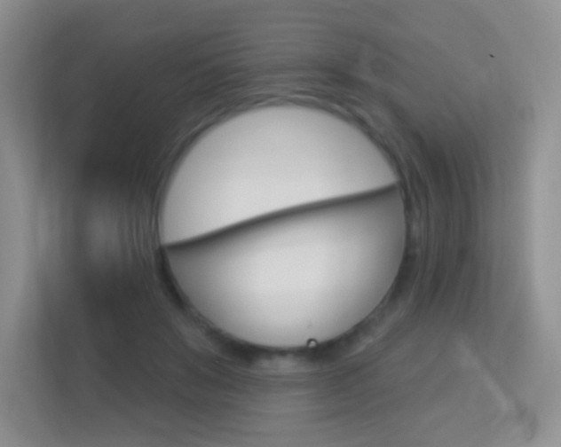 X0000113880503200909241029