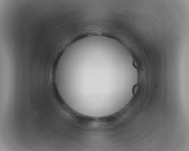 X0000113880504200909241029