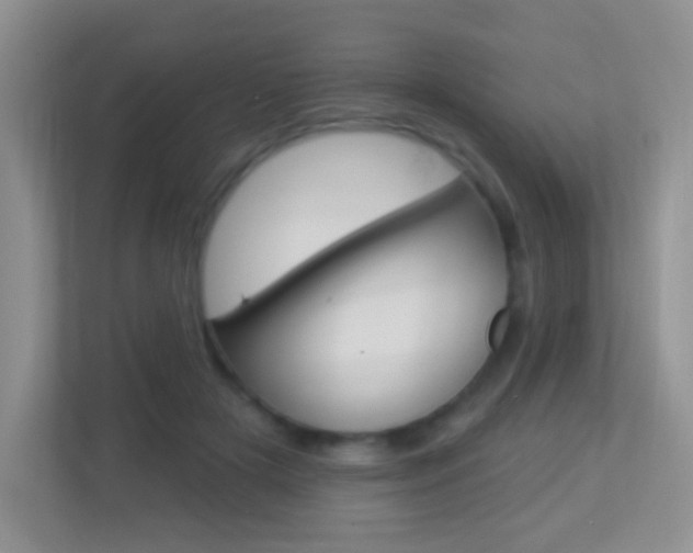 X0000113880505200909241029