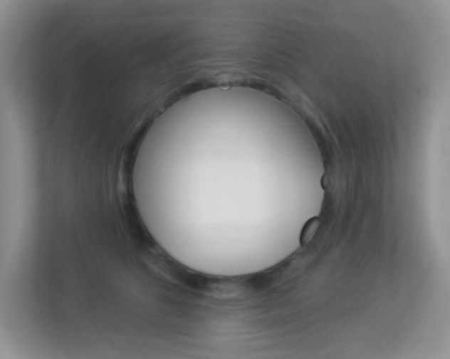 X0000113880516200909241029