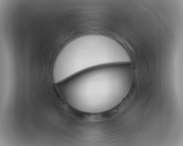X0000113880517200909241029