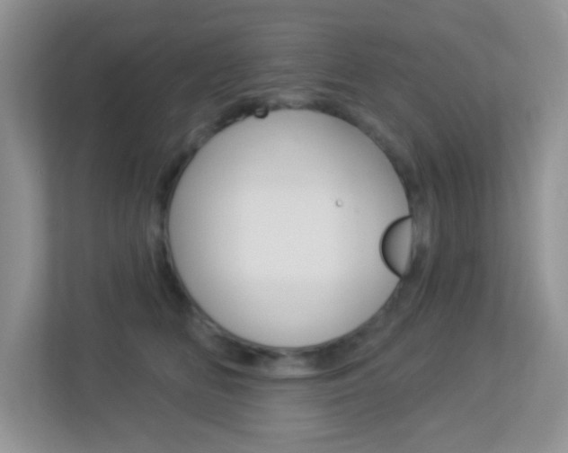 X0000113880518200909241029