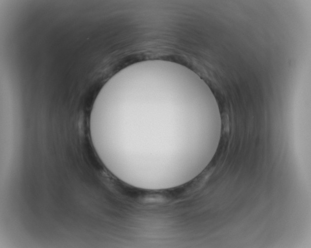 X0000113880519200909241029