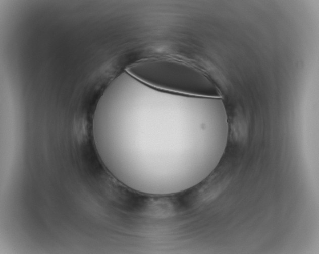 X0000113880520200909241029
