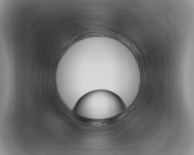 X0000113880521200909241029