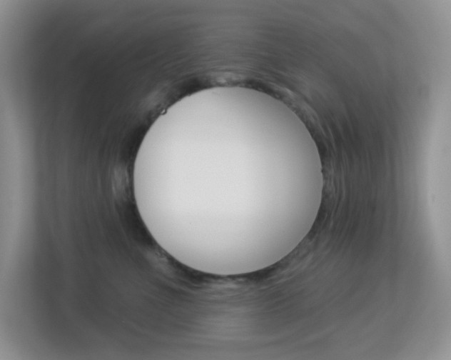 X0000113880523200909241029