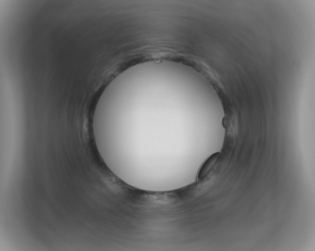 X0000113880524200909241029