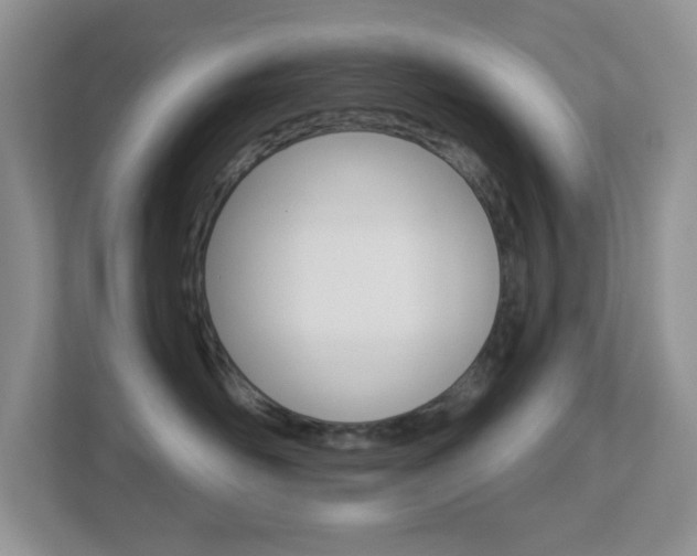 X0000113880526200909241029