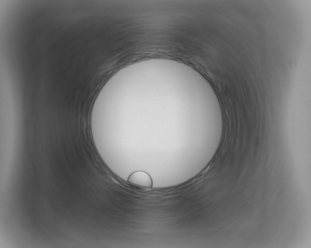 X0000113880528200909241029