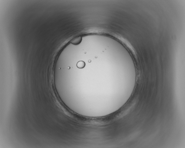 X0000113880529200909241028