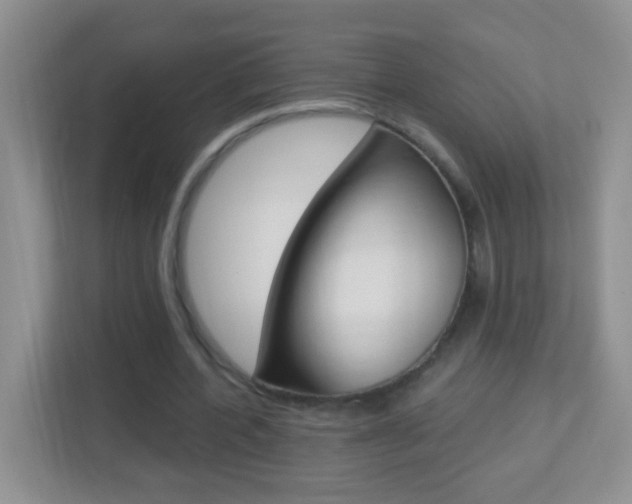 X0000113880532200909241028