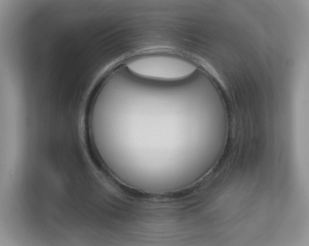 X0000113880535200909241028