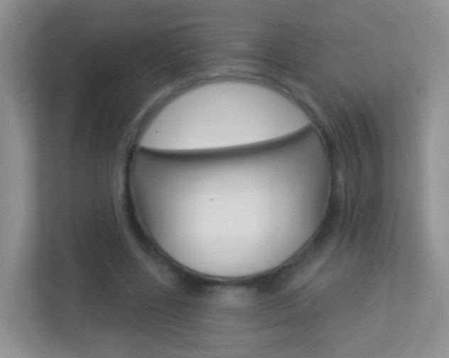 X0000113880539200909241028