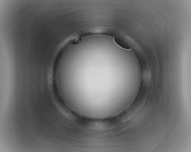 X0000113880540200909241028