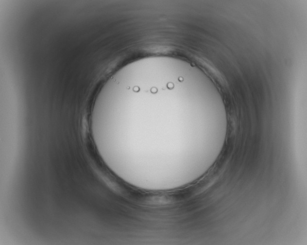 X0000113880541200909241028