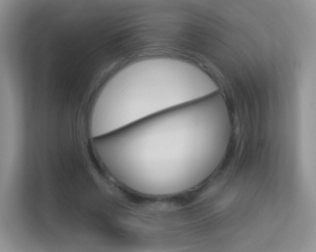 X0000113880542200909241028