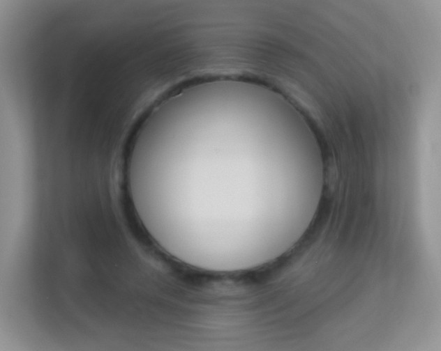 X0000113880544200909241028