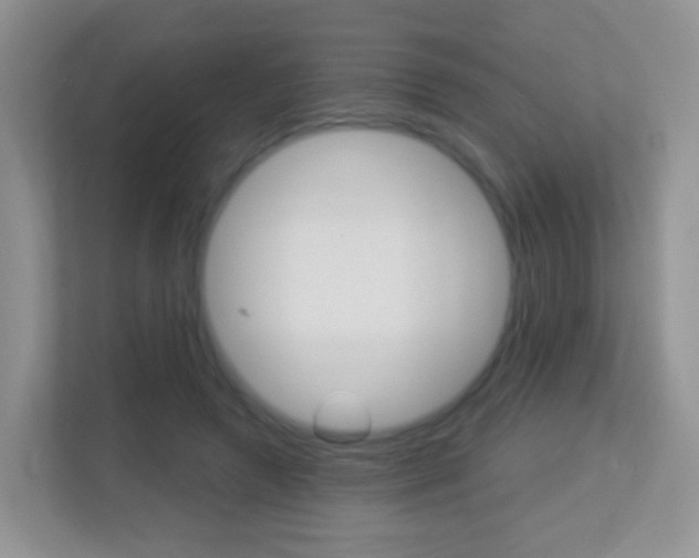 X0000113880546200909241028