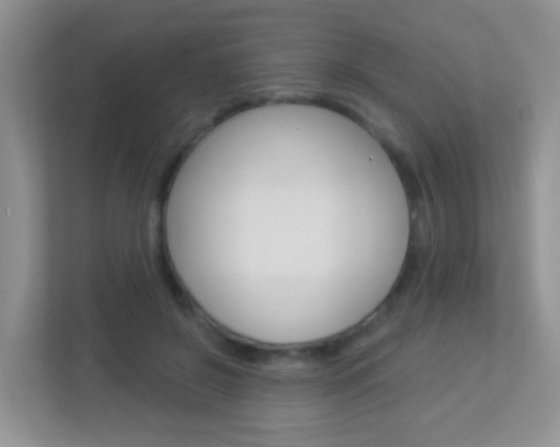 X0000113880550200909241028