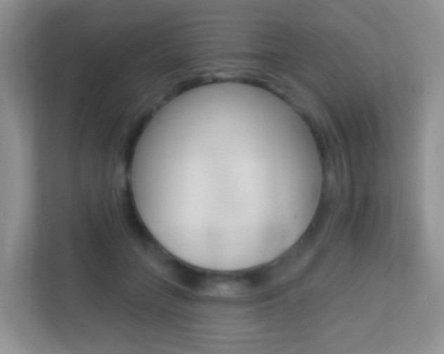 X0000113880555200909241029