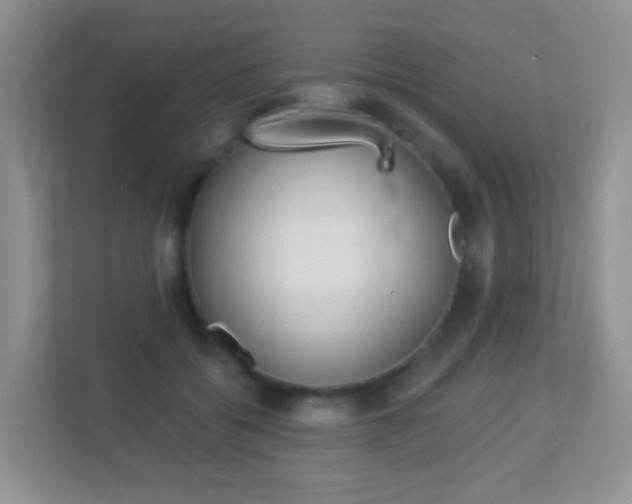 X0000113880556200909241029