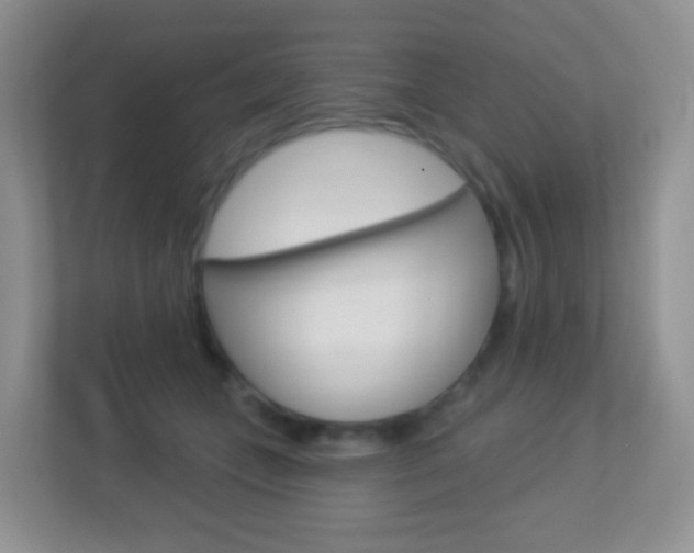 X0000113880559200909241029