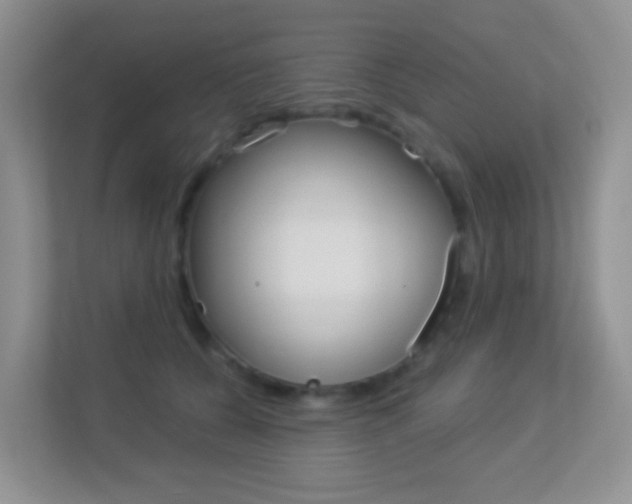 X0000113880560200909241029