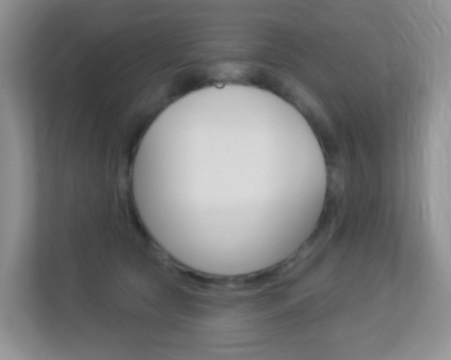 X0000113880561200909241029