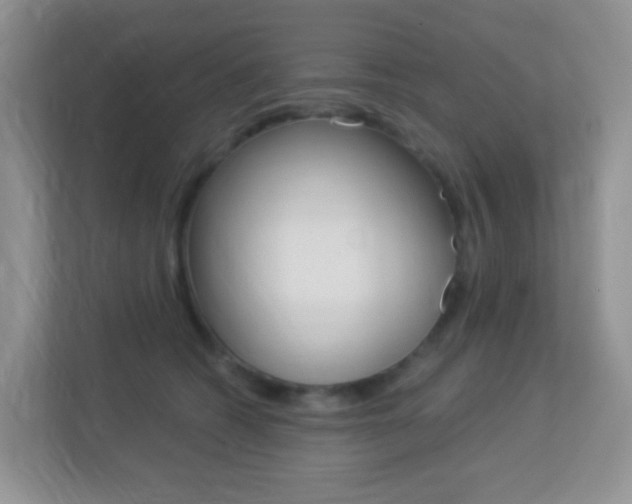 X0000113880562200909241029