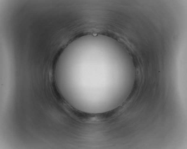 X0000113880564200909241029