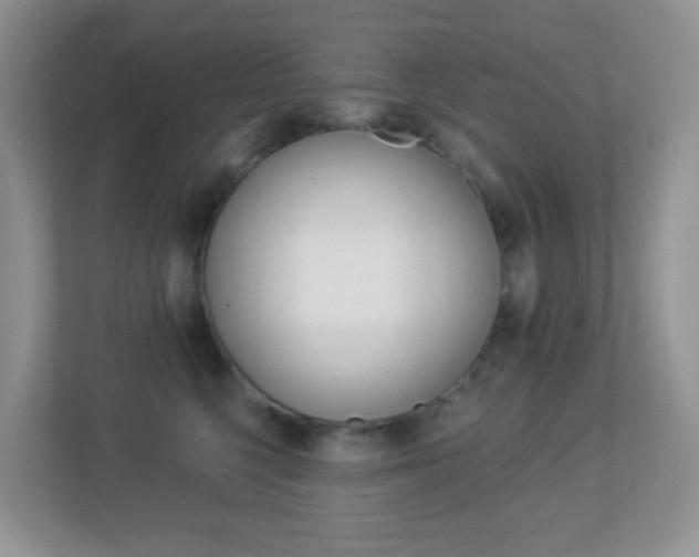 X0000113880568200909241029