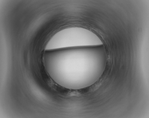 X0000113880572200909241029