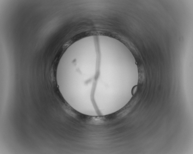 X0000113880573200909241029