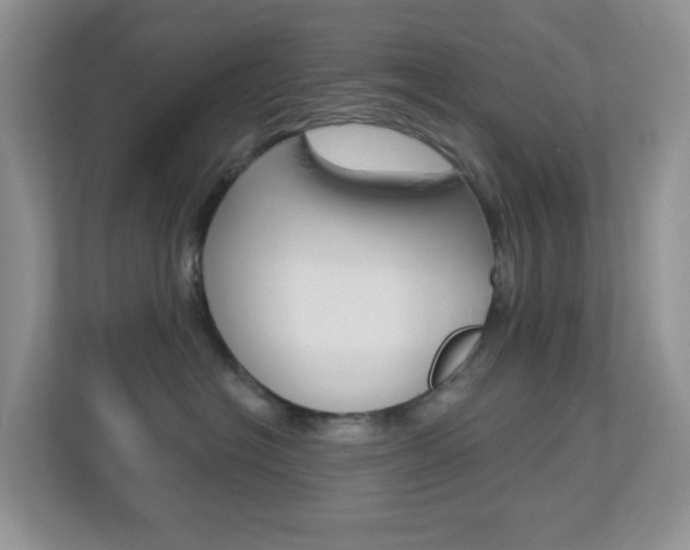 X0000113880574200909241029