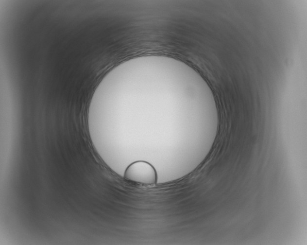 X0000113880576200909241029