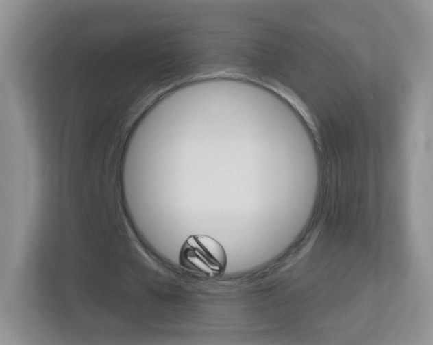 X0000113880577200909241028
