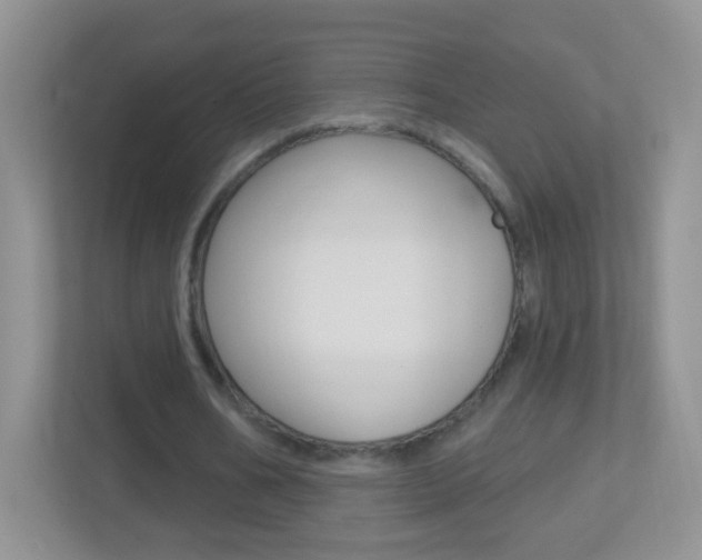 X0000113880578200909241028
