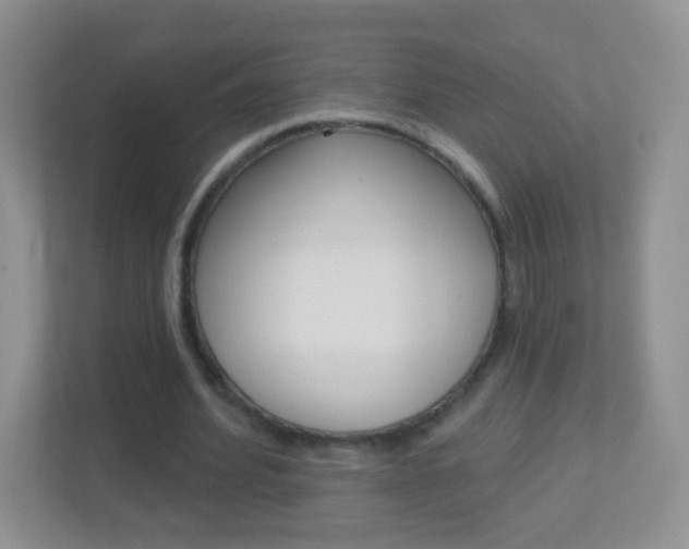 X0000113880580200909241028