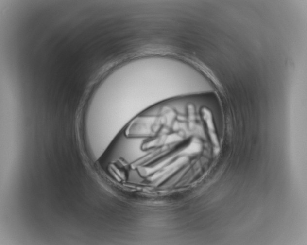 X0000113880581200909241028
