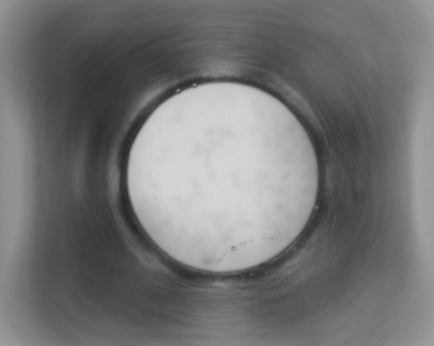 X0000113880584200909241028