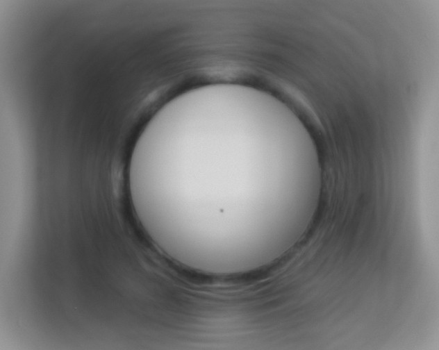 X0000113880596200909241028